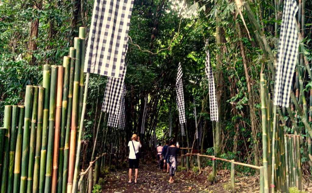 Hutan Bambu di Desa Penglipuran