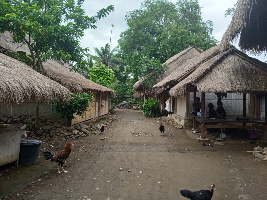 Desa Adat Sasak Ende: 6 Pengalaman Berharga Mengenal Budaya Sasak Lebih Dekat 2 Desa Adat Sasak Ende lokasi, sejarah Desa Adat Sasak Ende, budaya Desa Adat Sasak Ende, tradisi Desa Adat Sasak Ende, rumah adat Desa Adat Sasak Ende, kehidupan masyarakat Desa Adat Sasak Ende, keunikan Desa Adat Sasak Ende